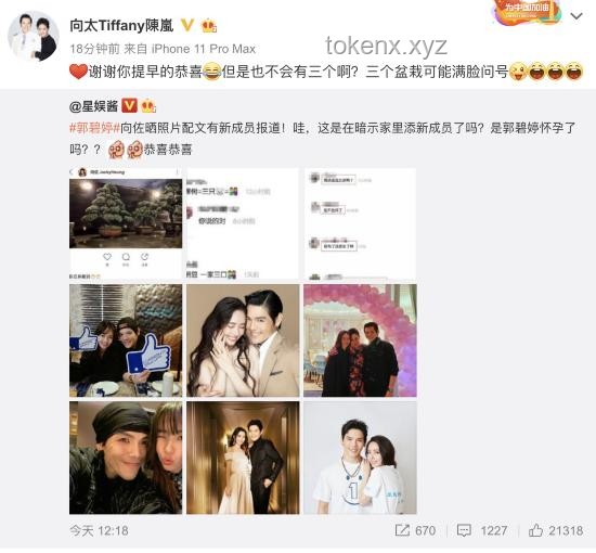 **向佐发文感谢郭碧婷：爱情里的感恩与成长之路**
